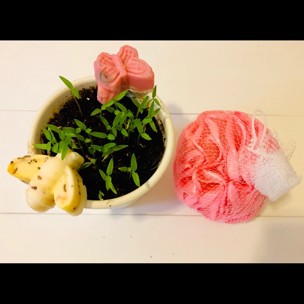 Herbal Harlem Organic Duo Soap bars & Loofah